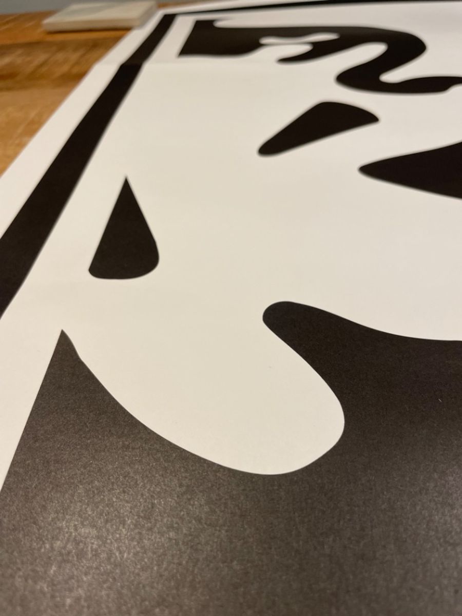 Shepard Fairey Obey Amsterdam Icon Xxx, Signed And Dated By Artist image 11