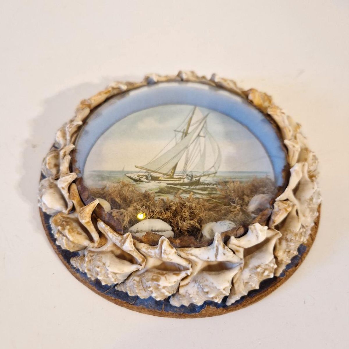 Antiek Bolglas Lijstje Maritiem Schelpen Schilderijtje image 4