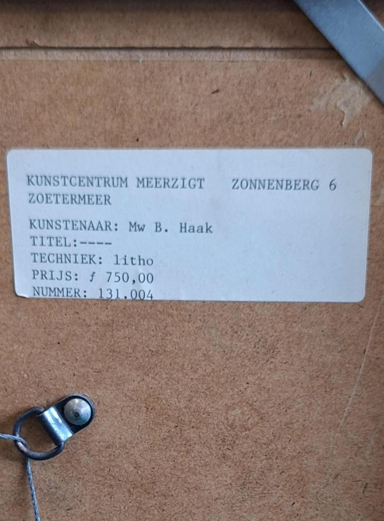 Litho Van Bertha Haak (1944-1921), Eigen Druk "kleedje" 1983 image 9
