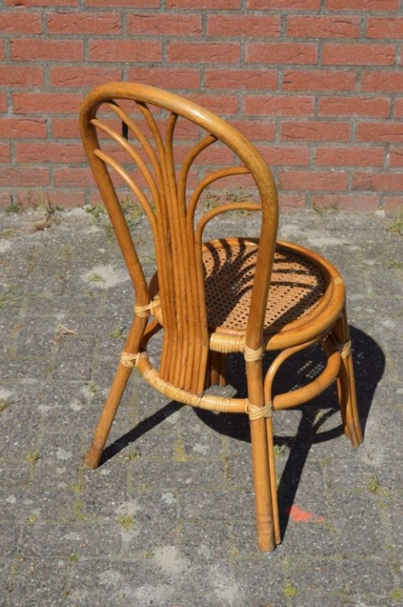 Rotan Stoeltje Met Pauwenstaart Waaier Boog image 4