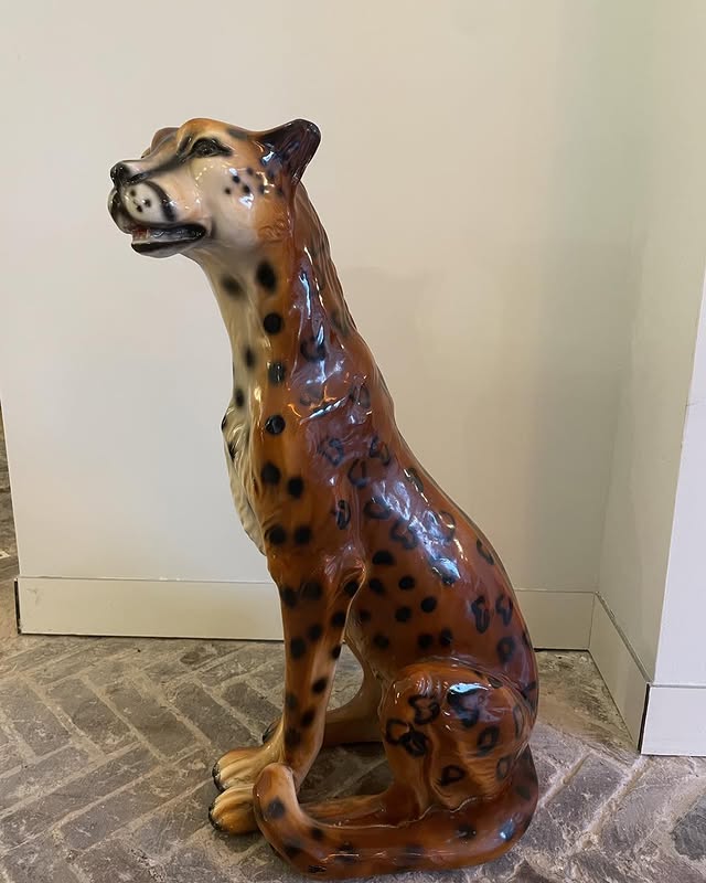 Sisi 🐆 Cheetah Beeld image 6