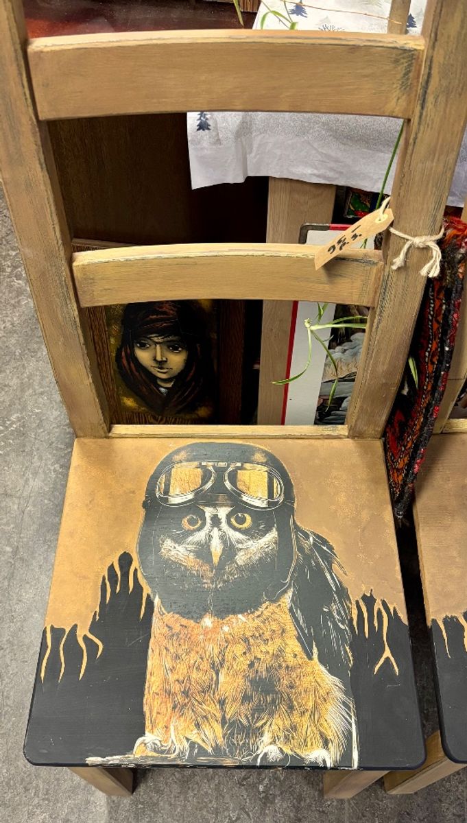 2 Stoelen Met Stoere Uil image 2