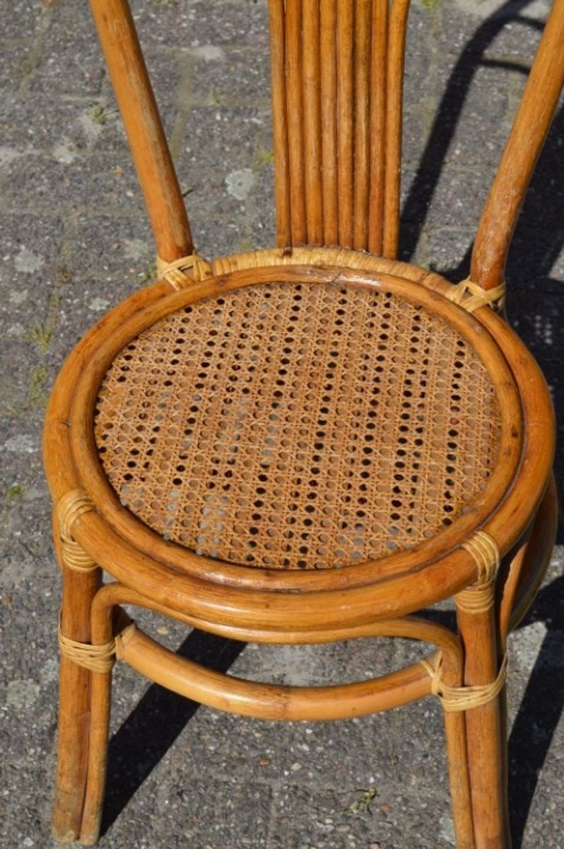Rotan Stoeltje Met Pauwenstaart Waaier Boog image 2