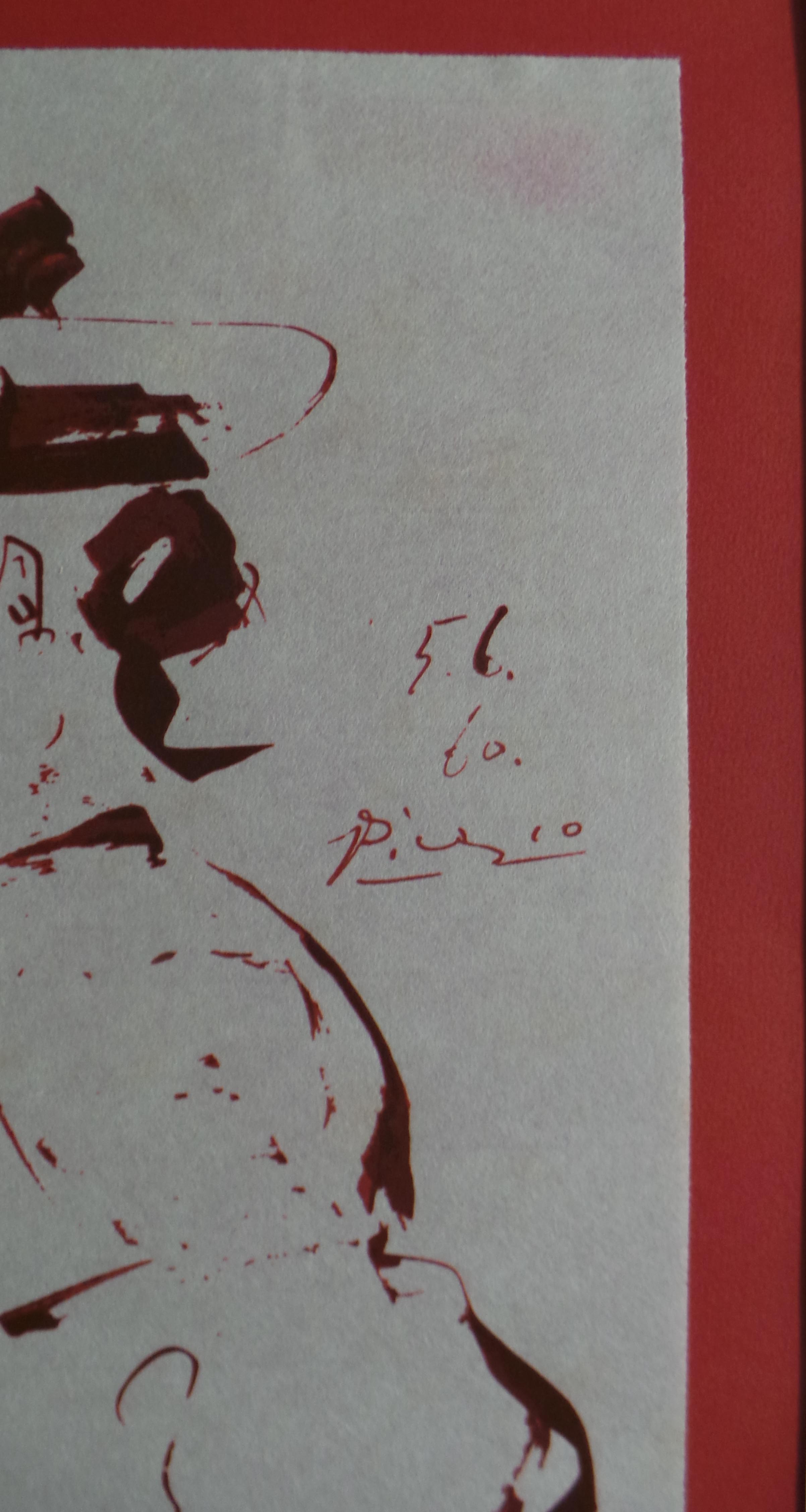 Picador image 3