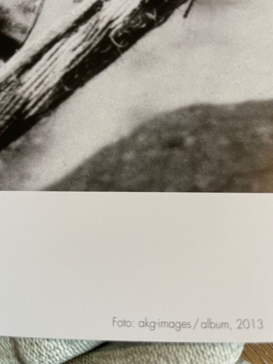 Frida Kahlo ( 1907-1954), Frida Kahlo-foto Akg-images 2013, Printed In Germany image 3