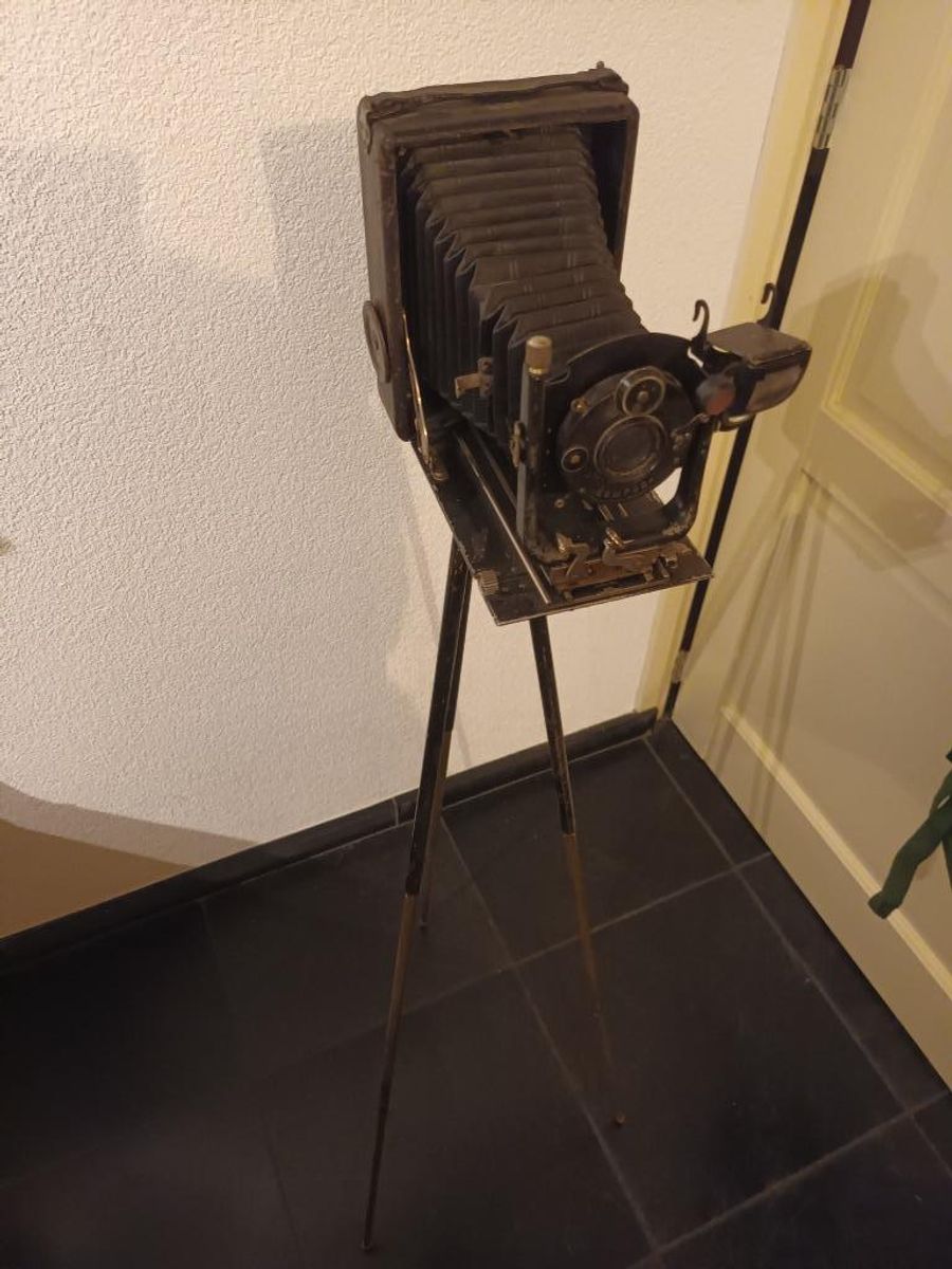 Antieke Contessa Nettel Altura 1921 Balgcamera Op Statief image 8