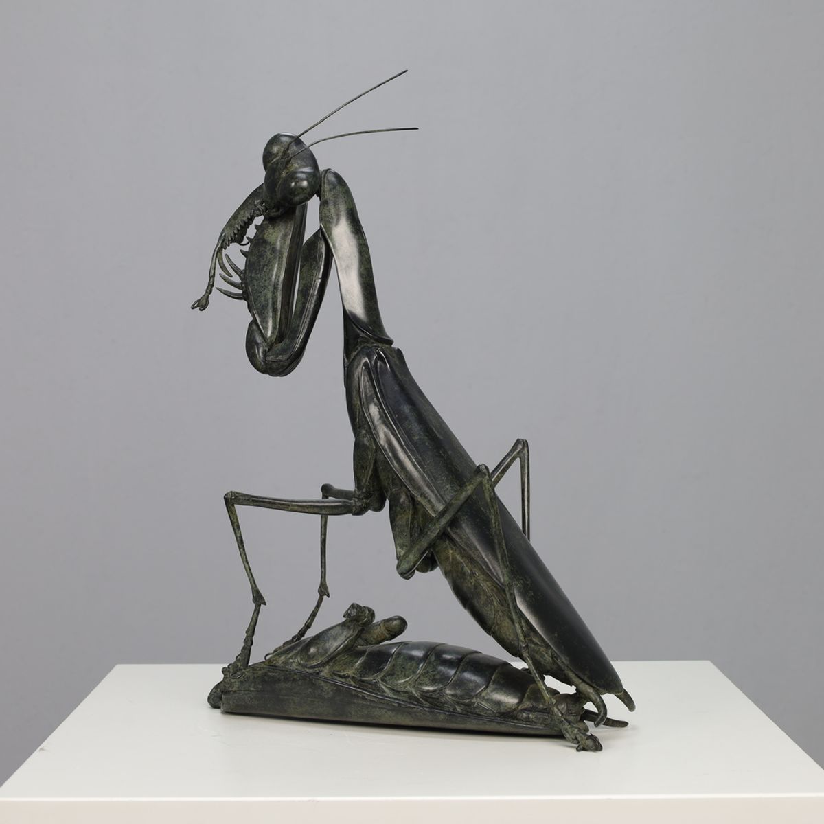 Sculpture Praying Mantis – Wedding Sonata By Anne Shingleton 1995 image 5