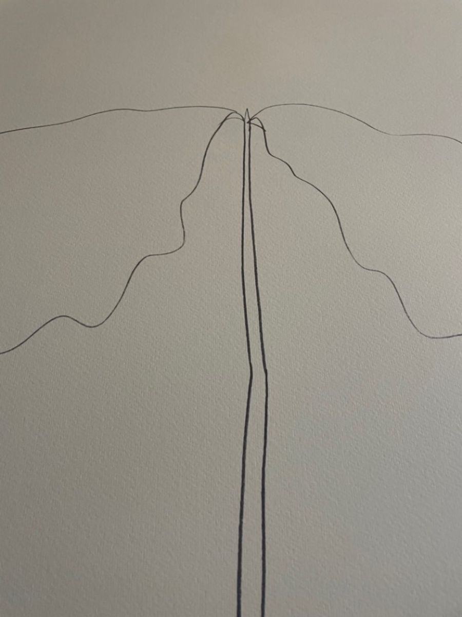 Ellsworth Kelly (1923-2015), Chêne, 1964 image 11