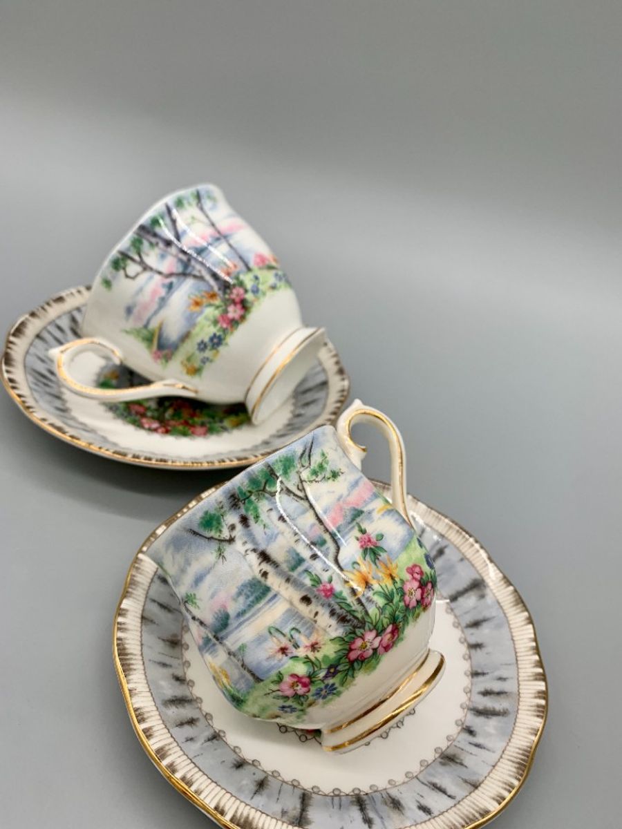 Set Royal Albert Silver Birch Dames En Heren Kop En Schotel image 7