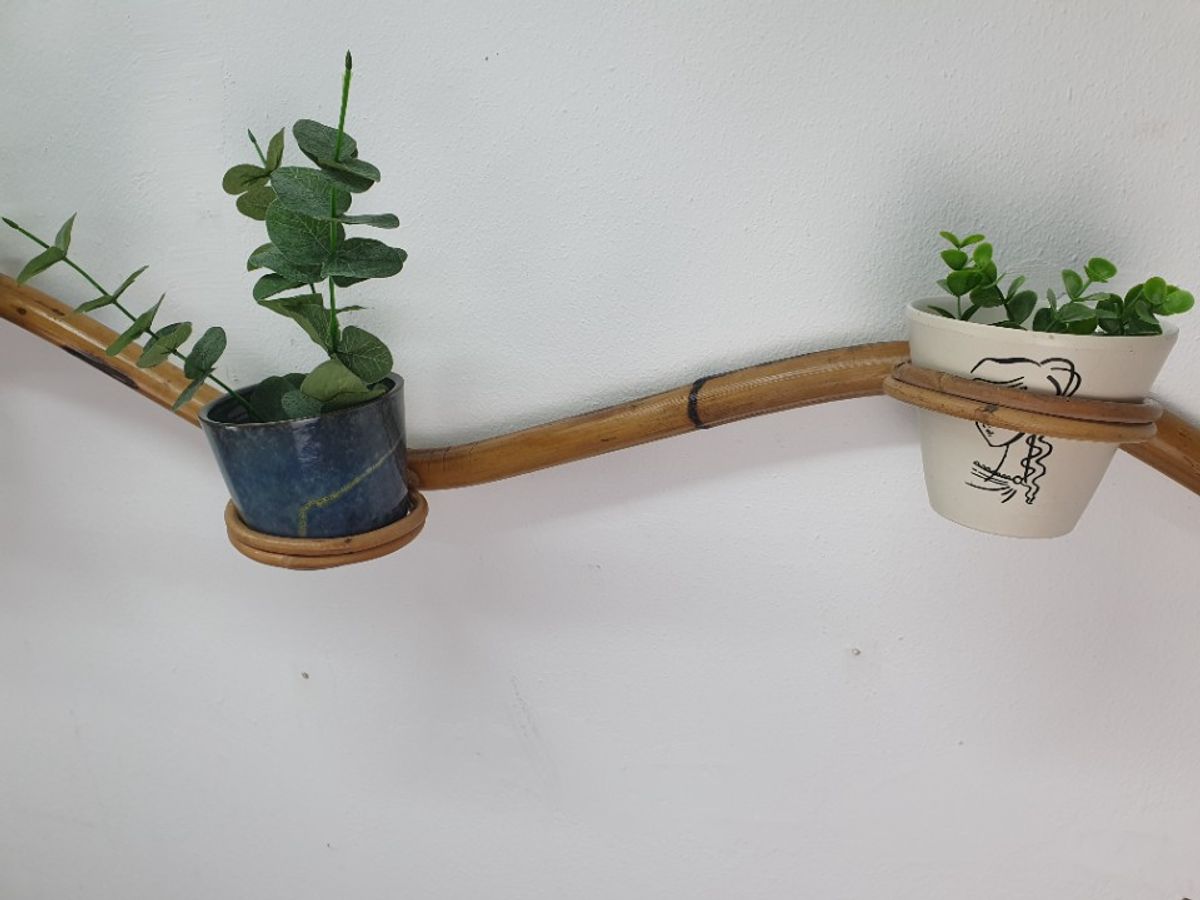 Plantenslang Rotan/bamboe. Plantenhouder Rohé/trio Noordwolde image 15