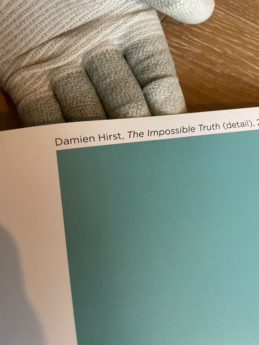 Damien Hirst, The Impossible Truth (detail) image 4