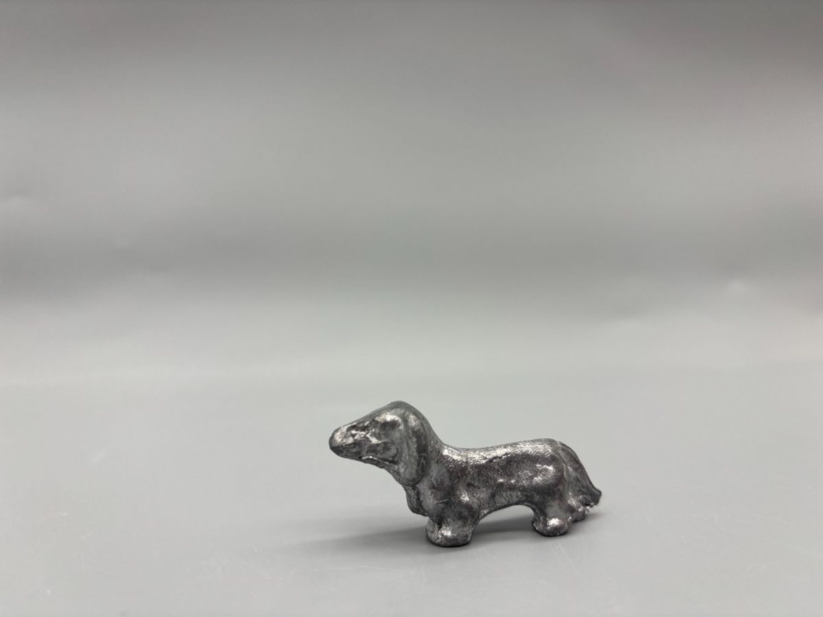 Miniatuur Teckel Zilverkleurig 4 image 7