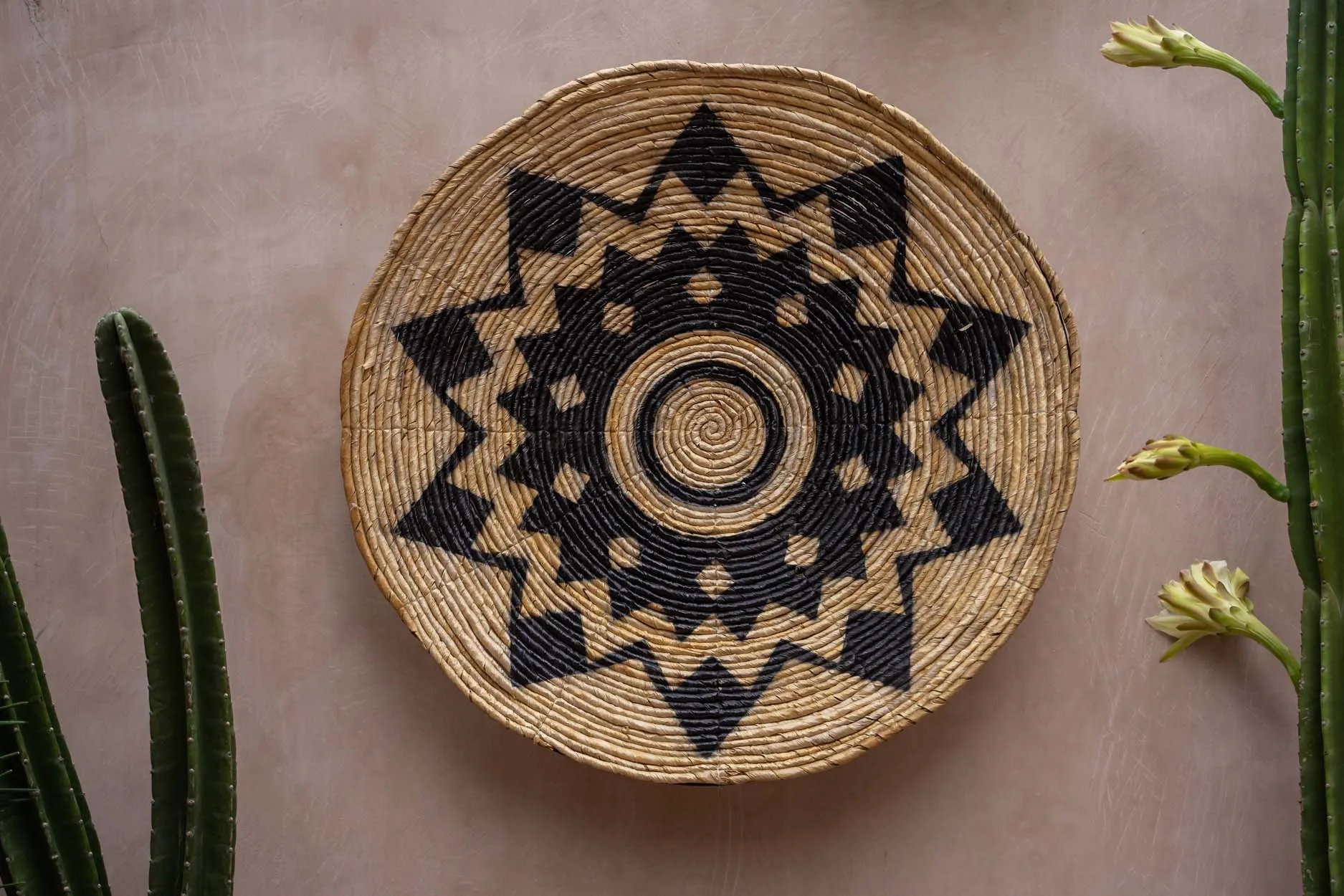 Bazar Bizar | De Aztec Plaat - L image 4
