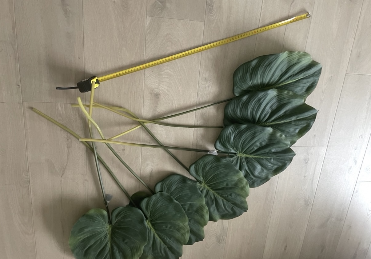 Zijden Bladeren Silk-ka Alocasia image 5