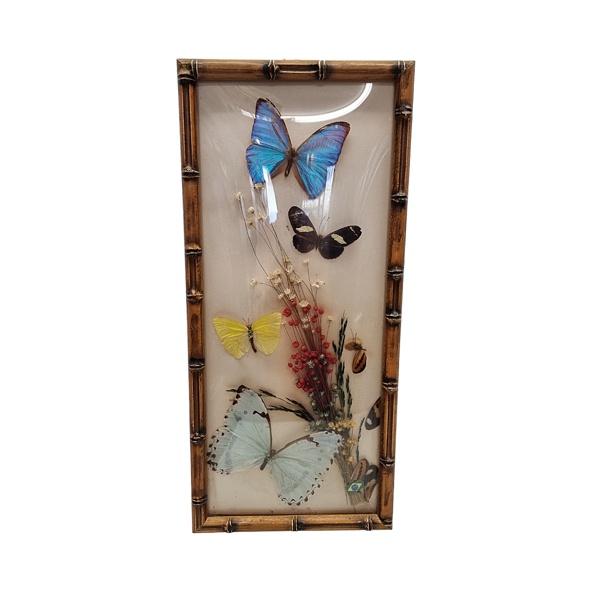 Vintage Opgezette Vlinders In Lijst image 2