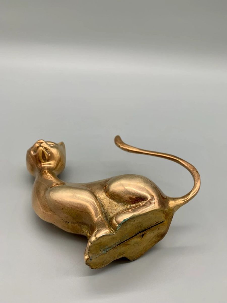 Grote Messing Poes image 8
