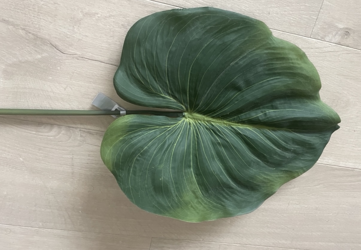 Zijden Bladeren Silk-ka Alocasia image 2