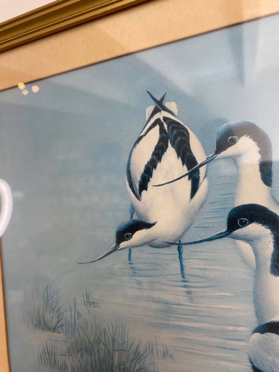 P. Welch Print Kluut Achter Glas image 6